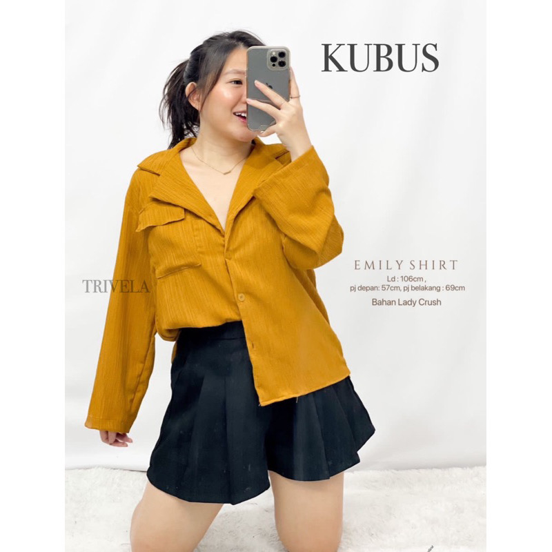 Kemeja Lady Crush Emily / Kemeja Kerja Lengan Panjang / Blouse Kerja Wanita / Outer Lengan Panjang / SJJ