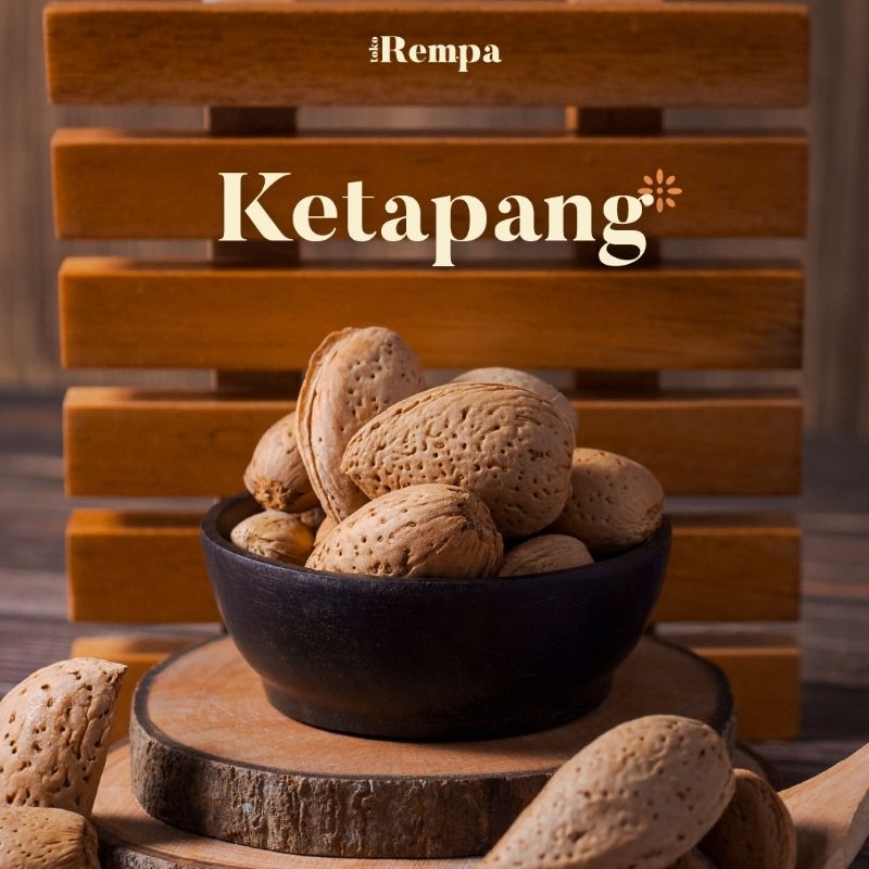 

Ketapang Biji / Indian Almond Seed 1kg