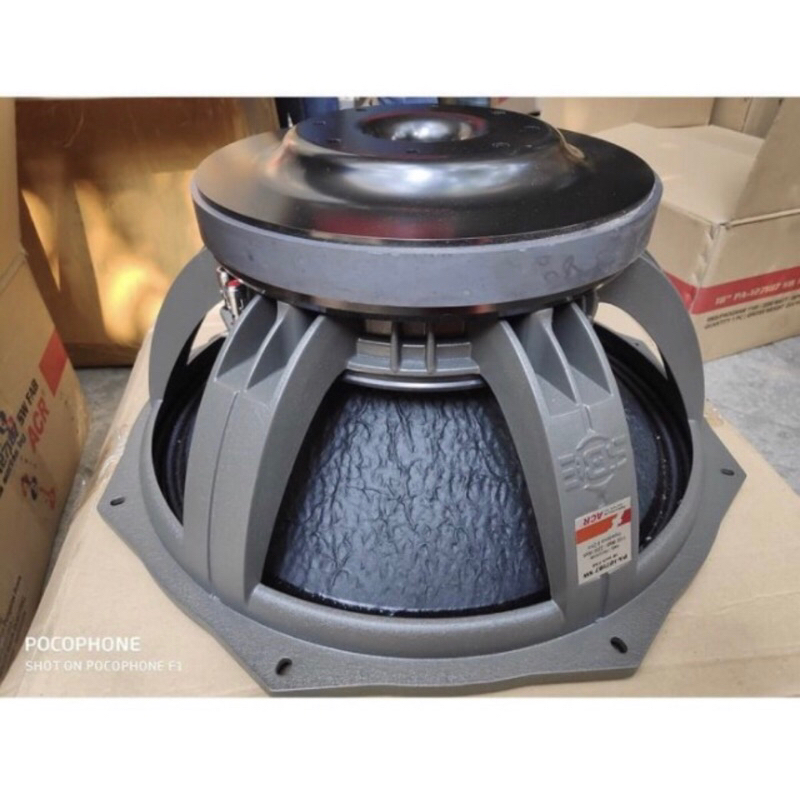 Speaker 18 inch Acr Fabulous PA 127187 SW