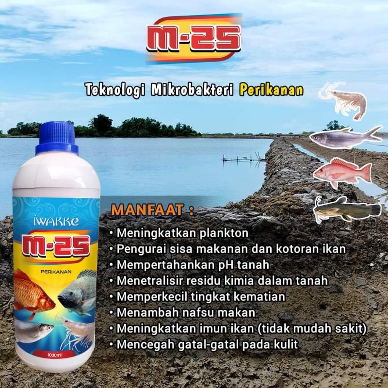 M-25 PERIKANAN MIKROBAKTERI PROBIOTIK UNTUK IKAN KOLAM TAMBAK