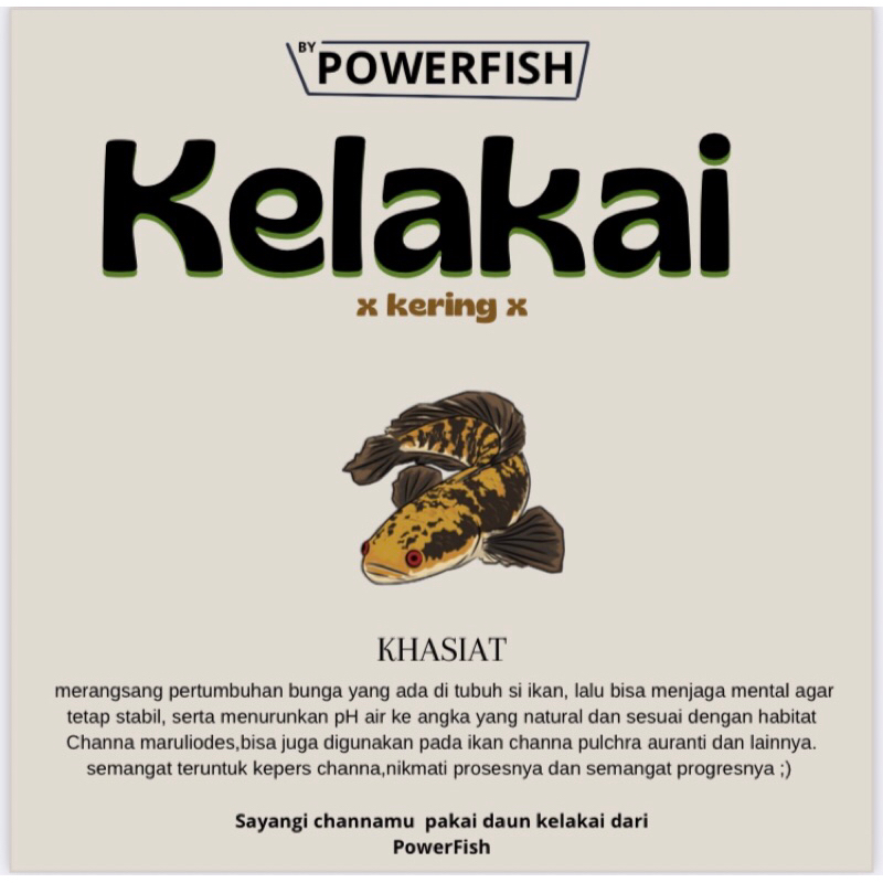 KELAKAI KERING