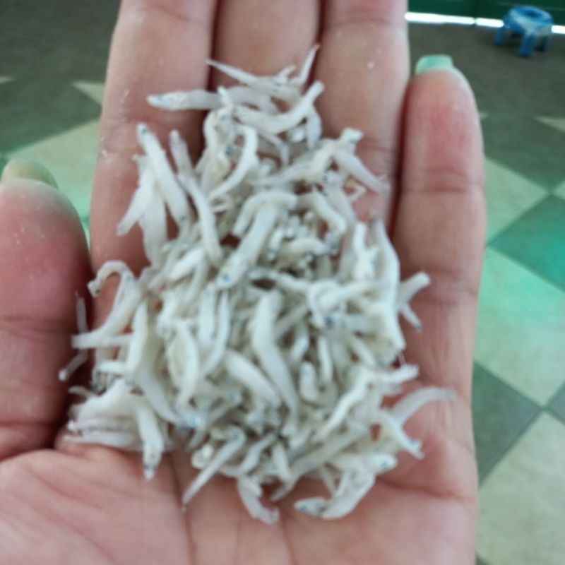 TERI NASI MEDAN / IKAN TERI MEDAN 1kg