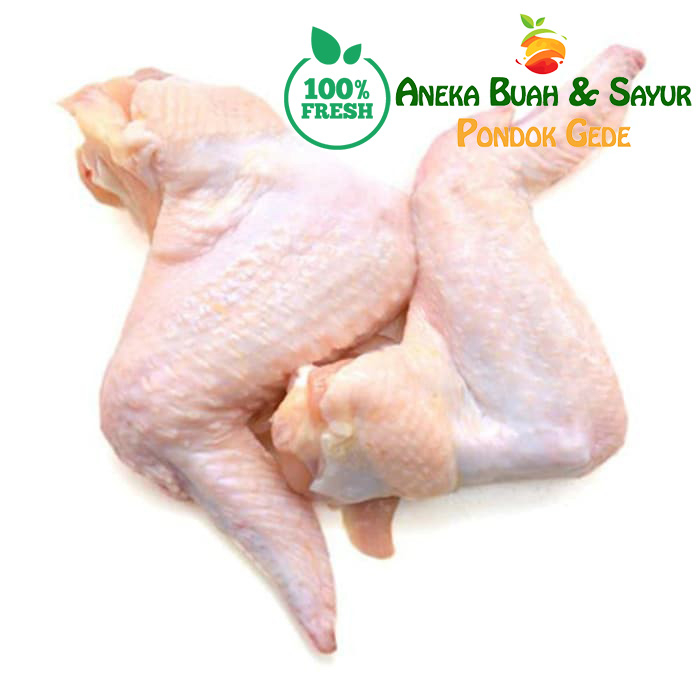 

Sayap Ayam Segar 500gr | 1kg