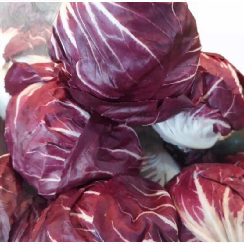 

Radichio Lettuce Sayuran Fresh 500 grm
