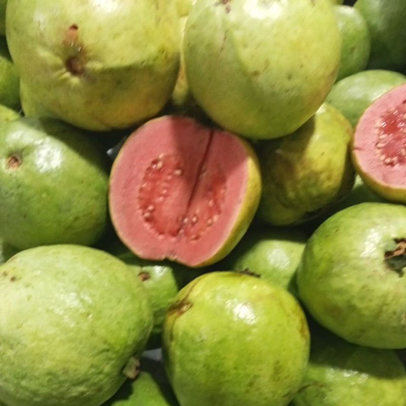 

jambu merah 500 grm