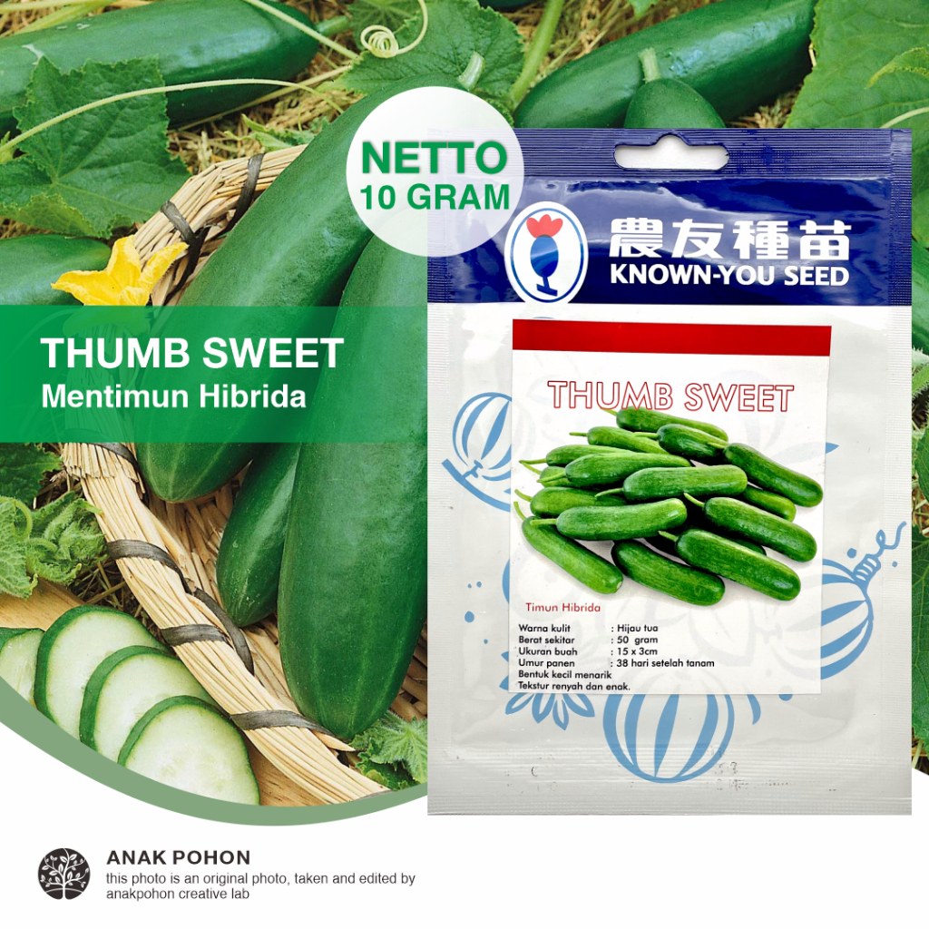 (1 PACK - 10 GRAM) Benih Timun THUMB SWEET Mentimun Hibrida F1 Seeds - Known You Seed KYS