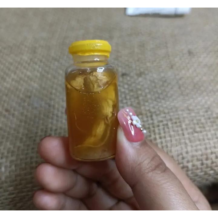 minyak bulus gingseng / minyak bulus asli