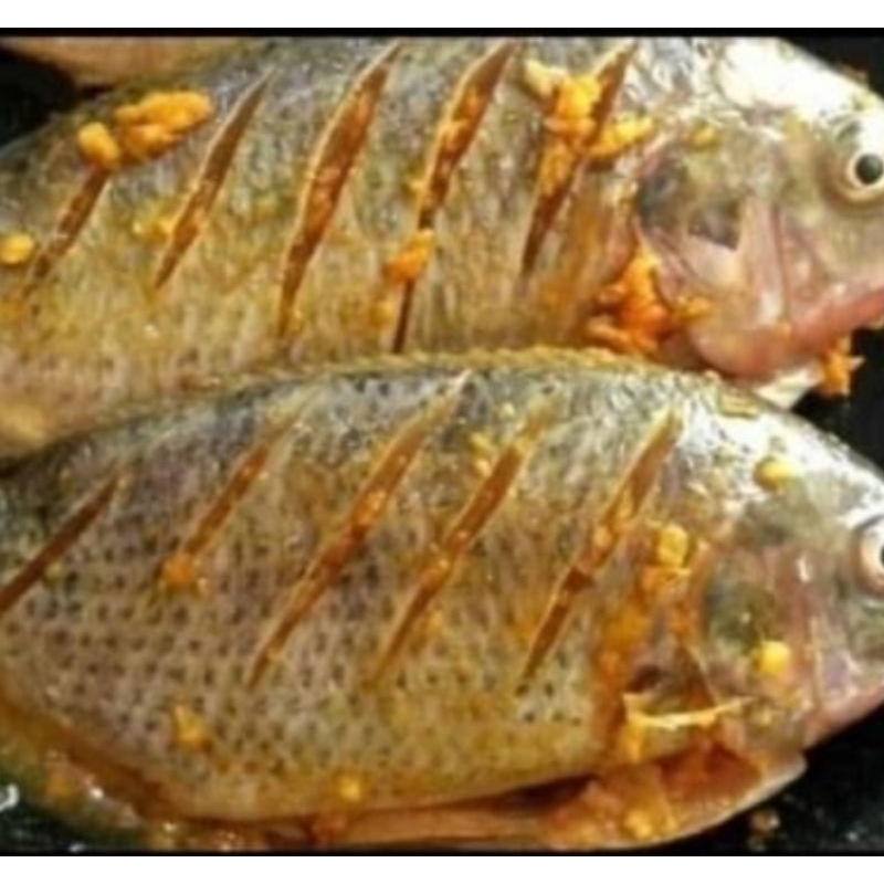 

ikan gurame bumbu kuning 500gr