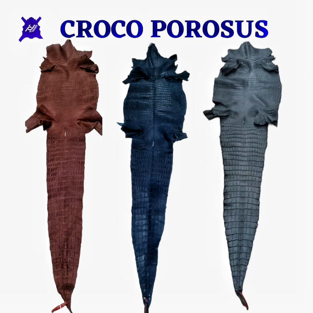 Croco Porosus