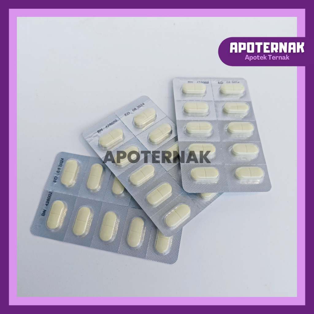 ANTHEL DOG Ecer 1 Tablet (Blister) Obat Cacing Spektrum Luas Untuk ANJING by Kalbe | Harga 1 Tablet Blister