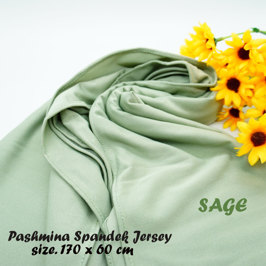 Hijab Pashmina jersey Premium Jilbab Syal Panjang Polos