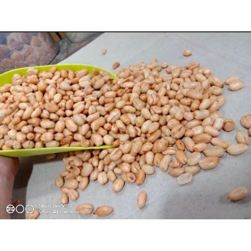 

KACANG BAWANG MADURA kemas 1kg