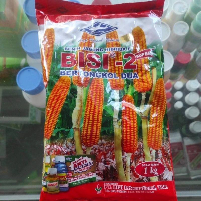 BENIH JAGUNG HIBRIDA BISI 2