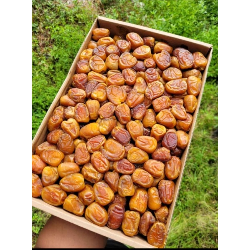 

kurma sukari