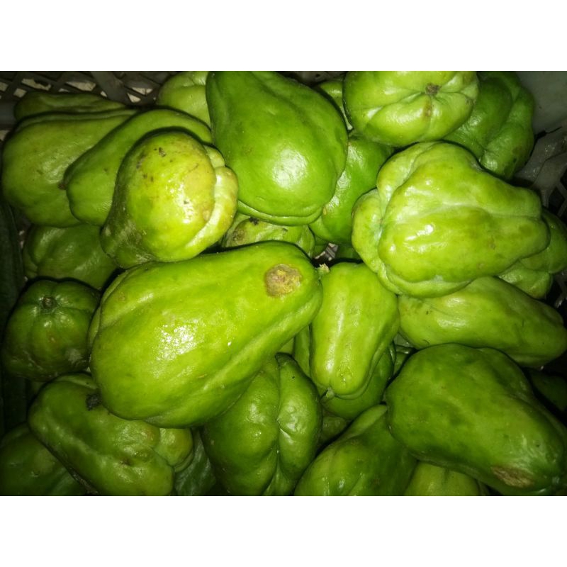 

Labu acar ( labu siam baby)