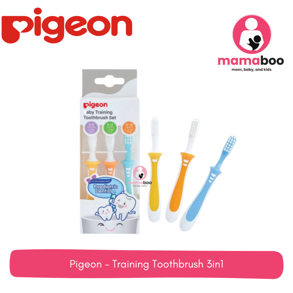 Pigeon - Training Toothbrush 3IN1