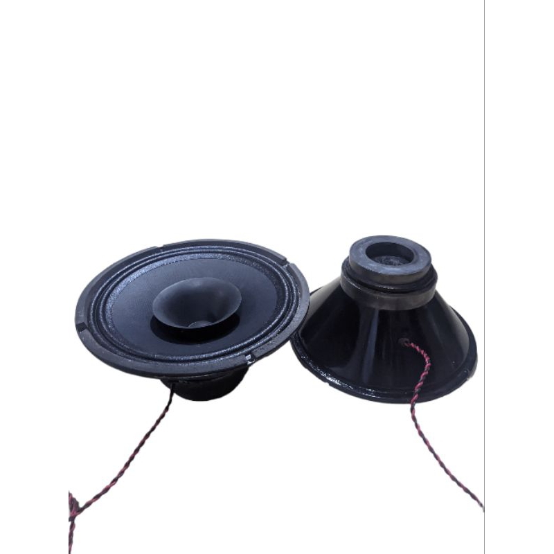 speaker middle 10 inch