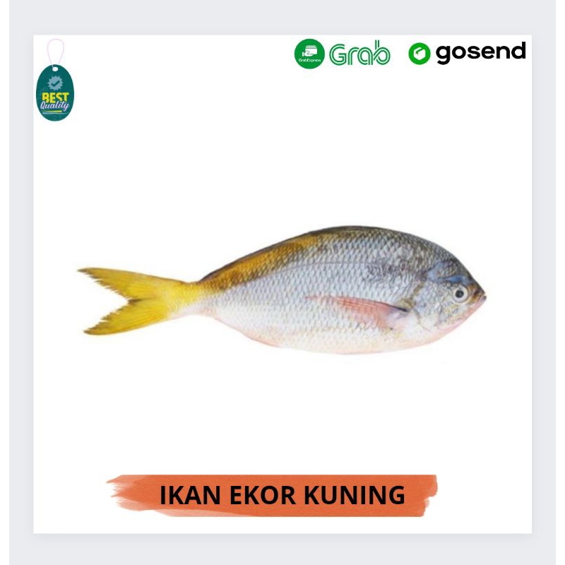 

Ikan Ekor Kuning Segar - 1000gr