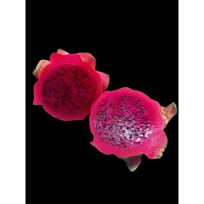 

BUAH NAGA 1KG