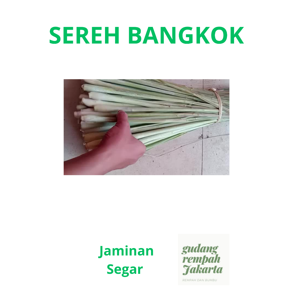 

SEREH BANGKOK BERSIH FRESH 500 GRAM