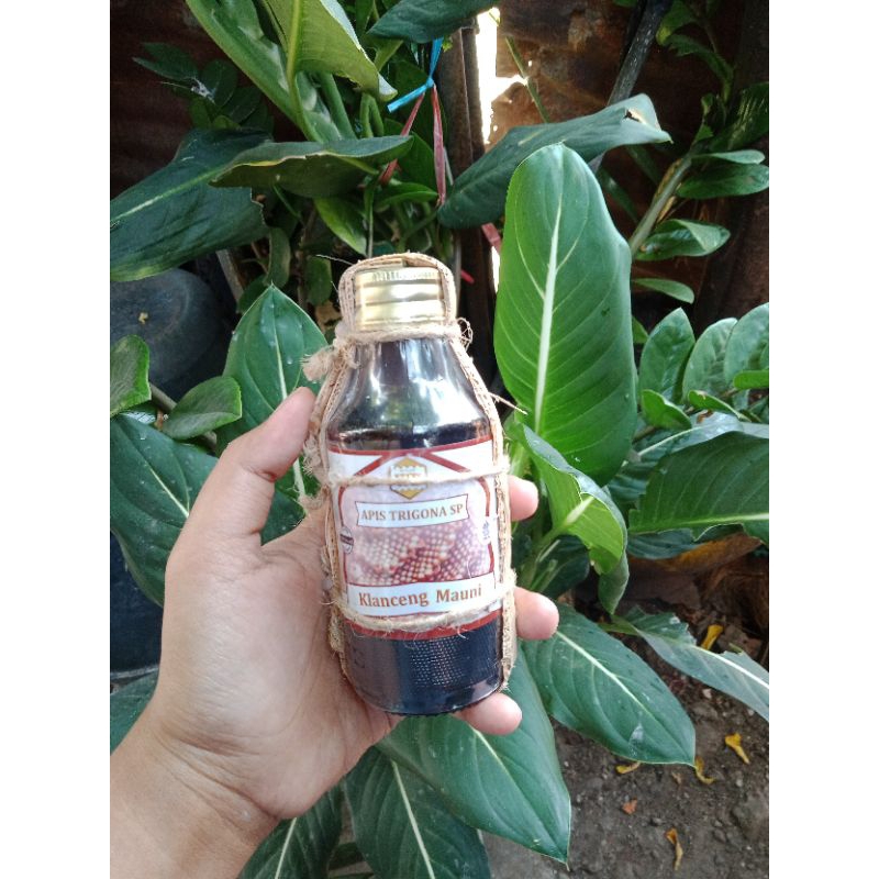 

MADU WILD BEE | 200gr | HALAL, 100% ASLI DAN MURNI