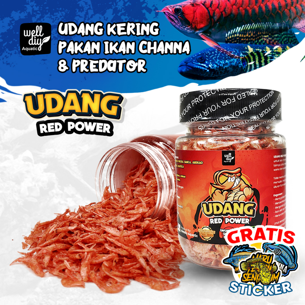 Udang Kering Red Pakan Ikan Chana RED POWER Channa Maru Asiatica Predator Arowana Arwana Kura Kura - 30g