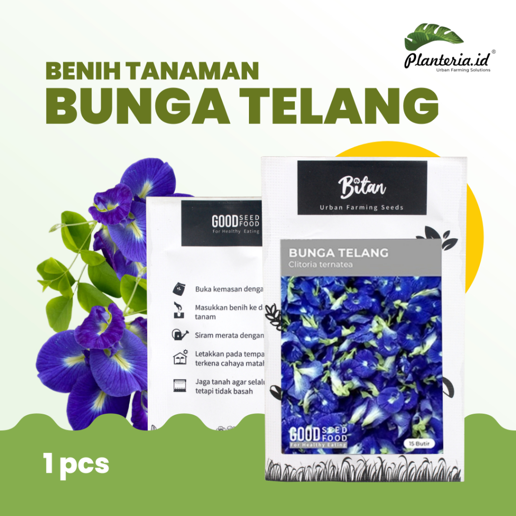 Benih Bunga Telang Biru Biji Bunga Telang