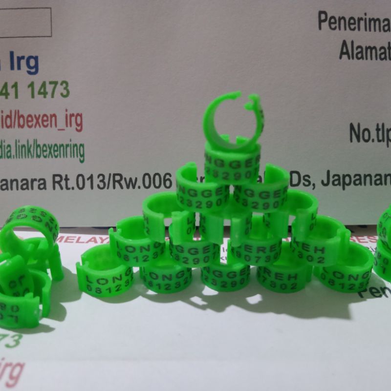 10 biji sudah bisa rekwes nama ring merpati dewasa | ring puter pelung | laser klip plastik