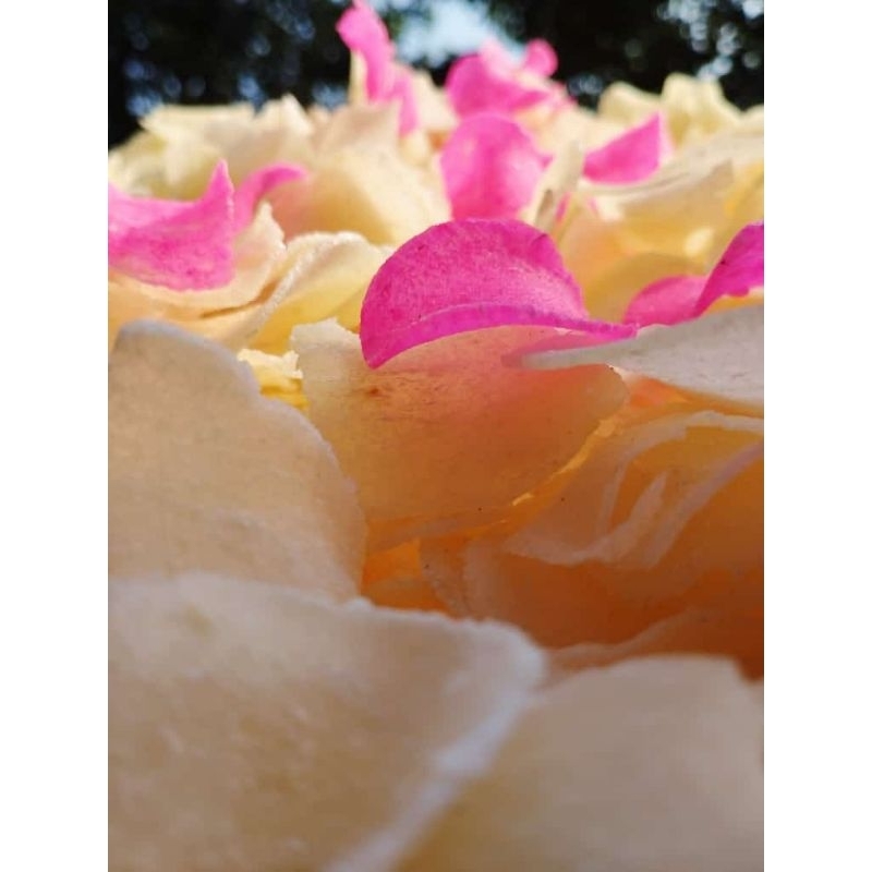 

Kerupuk singkong premium 1/2kg mentah