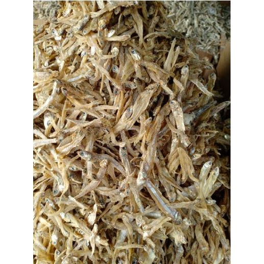 

Ikan teri tawar kecil