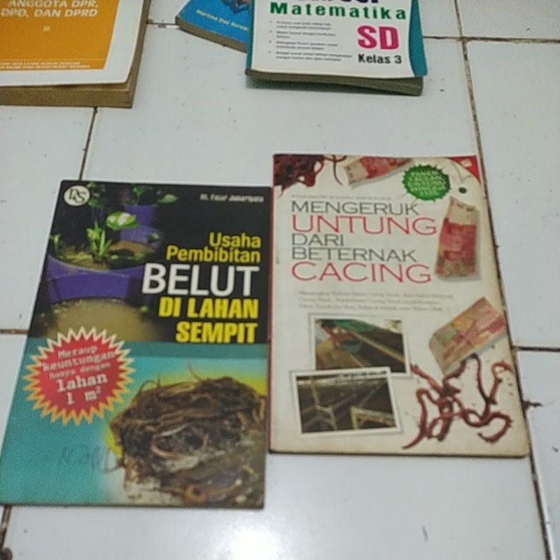 HARGA 1AN MENGERUK UNTUNG DARI BETERNAK CACING dan USAHA PEMBIBITAN BELUT DI SEMPIT