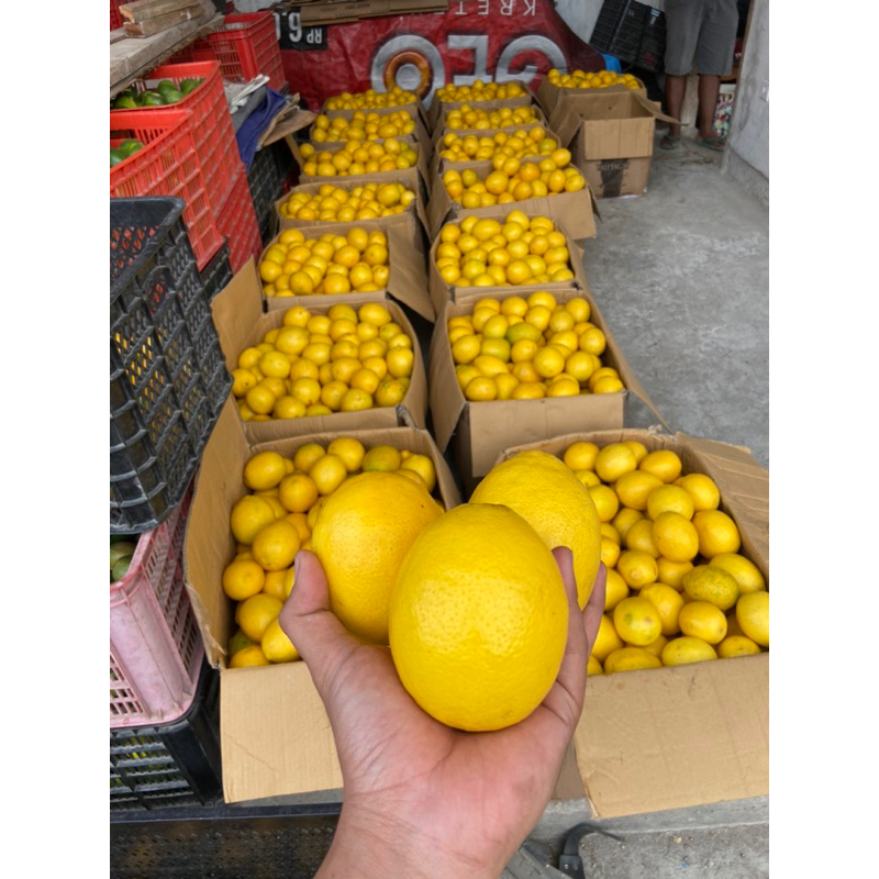 

LEMON CALIFORNIA FRESH