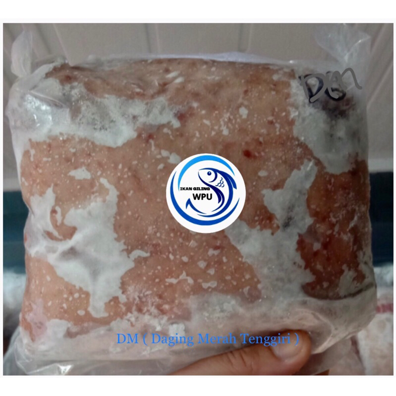 

DM Ikan Tenggiri / Daging Merah Tenggiri Giling