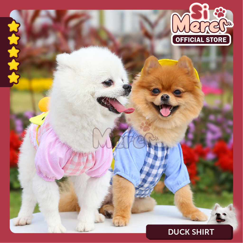 Baju Anjing Kucing Korea / Baju Musim Panas Anjing Kucing /Topi Anjing Korea / Baju Anjing / Harness Baju Anjing Kucing/ Harness Premium Anjing / Harness Lucu Anjing Kucing / Harness Korea /Baju Anjing Kucing Lucu/ Baju Anjing Korea / Duck Shirt