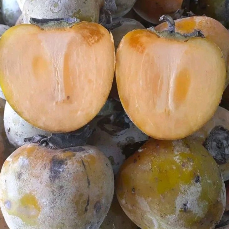 Buah Kesemek 1 Kg