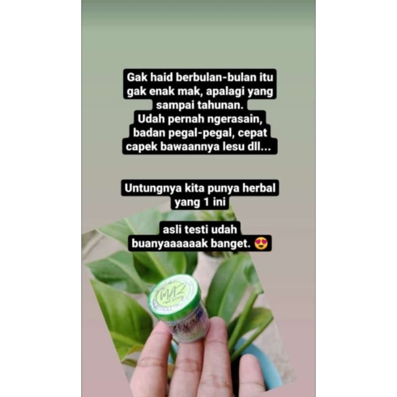 Mpot Biang MAZ Original