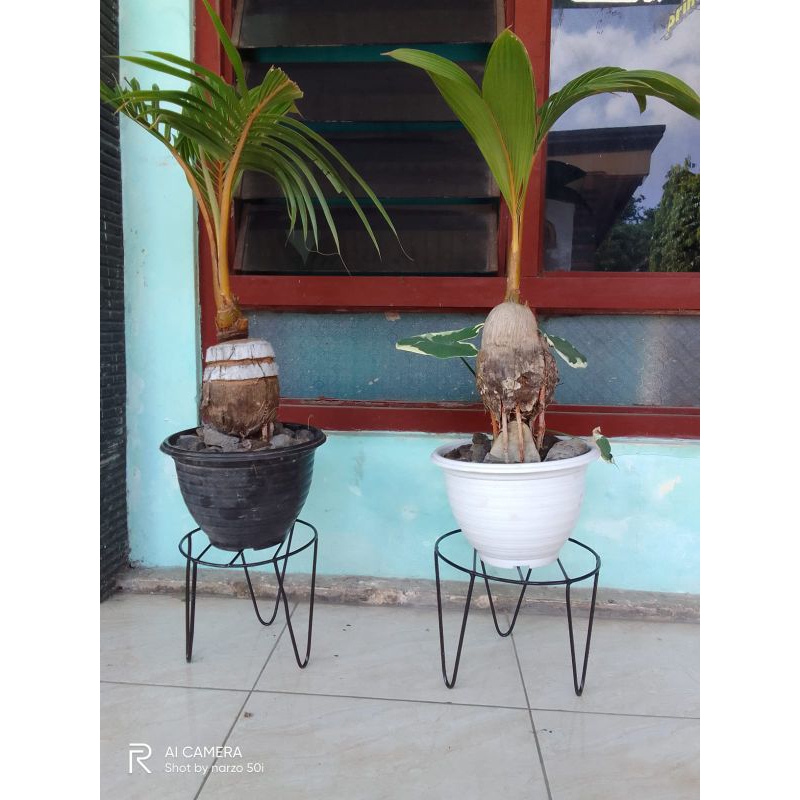 standing pot besi lingkaran/standing pot besi murah/standing pot bunga