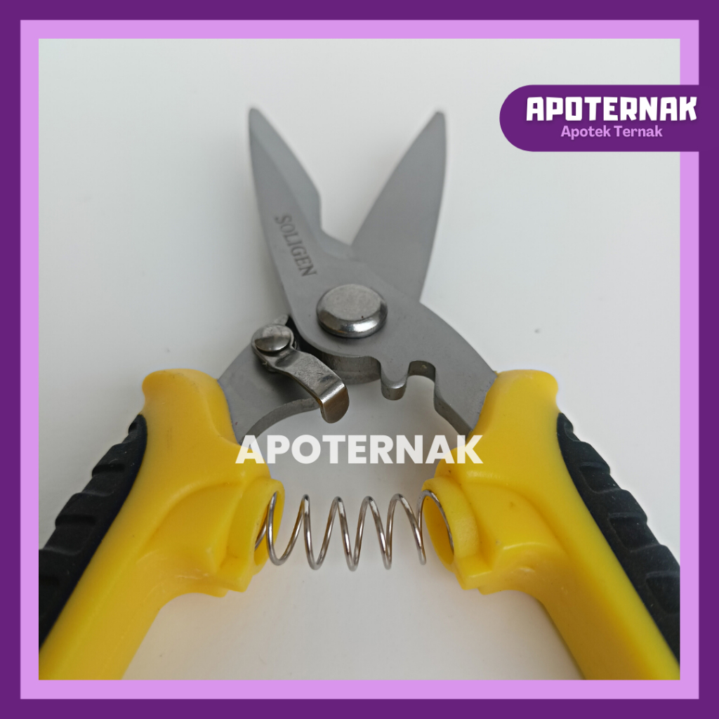 GUNTING KUKU KAMBING DOMBA SUPER TAJAM | Alat Potong Kuku Kambing Domba | Sheep Nail Clippers