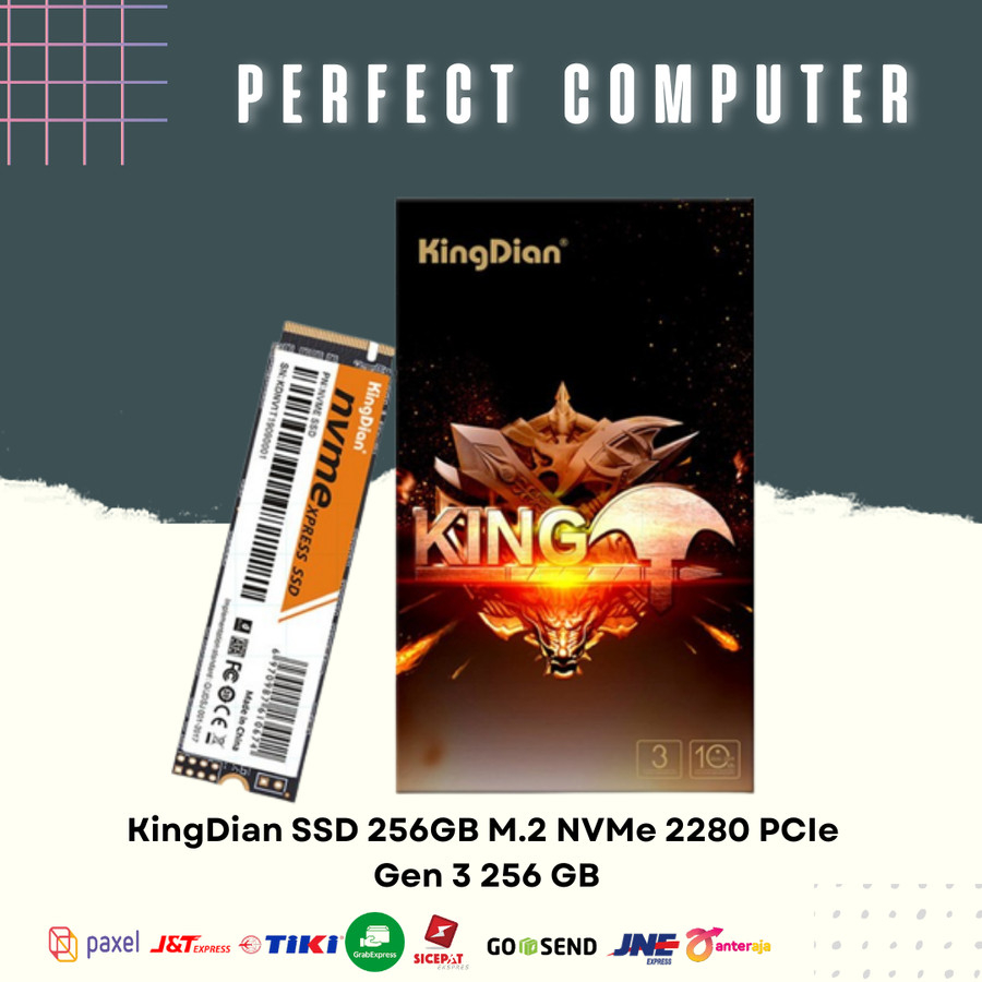KingDian SSD 256GB M.2 NVMe 2280 PCIe Gen 3 256 GB