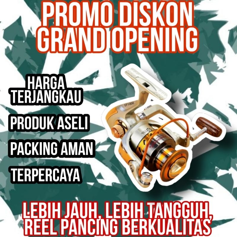 EF1000 Reel Pancing Spinning 12 Ball Bearing