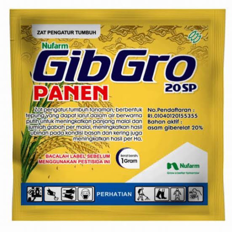 gibgro 20sp panen