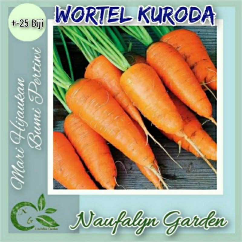 25 Benih Wortel Kuroda Benih Biji Bibit Sayuran Buah Unggul Berkualitas