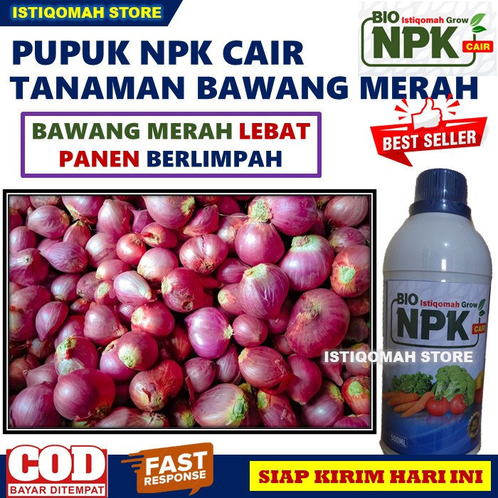 Pupuk Penyubur BAWANG MERAH Lebat Panen Berlimpah ISTIQOMAH GROW 500ML Pupuk NPK Cair untuk Tanaman Bawang Merah Terbaik yang Manjur dan Ampuh, Pupuk Daun dan Buah Bawang Merah Terbaik Paling Manjur dan Murah Laris dan Tokcer