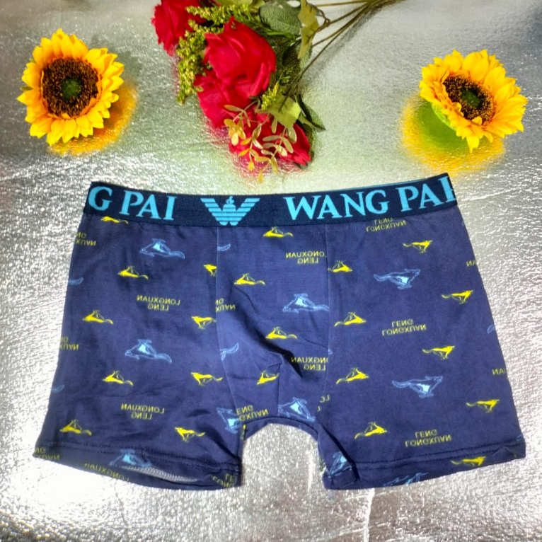 CD / celana dalam boxer cowok dewasa 1222