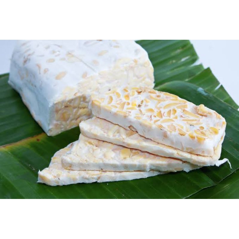 

tempe daun murah berkualitas