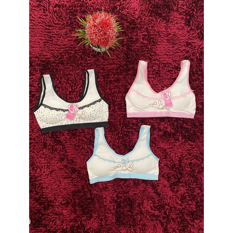 Miniset fema busa|Miniset anak busa|Bra remaja halus