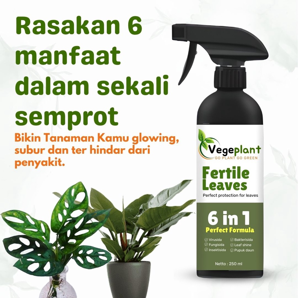 Kemasan baru Formulasi lebih baik 50% LEBIH HEMAT  Pelindung dan Pengkilap khusus daun yang tidak pe