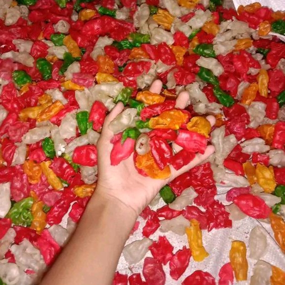 

Kembang Temu mentah 250 gram