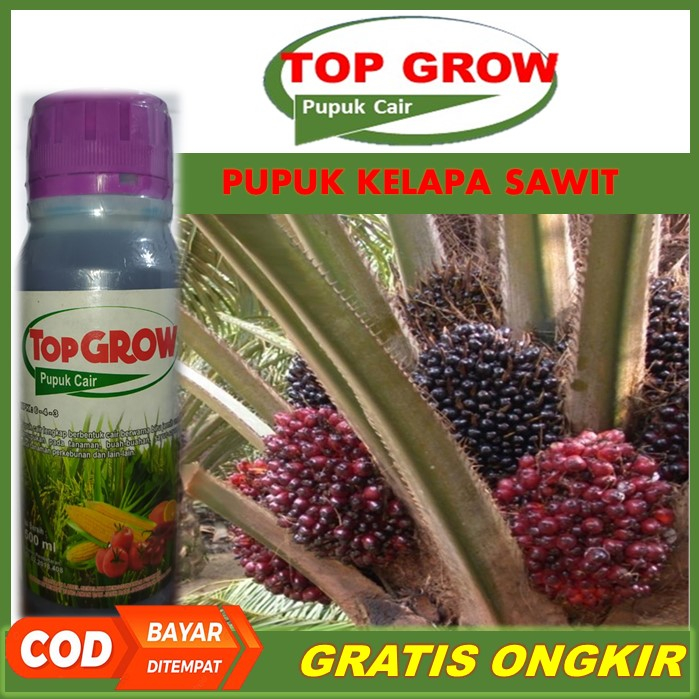 TOP GROW Pelebat Kelapa Sawit Terbaik Tahan di Musim Hujan - Pupuk NPK Cair Pelebat Kelapa Sawit, Pu