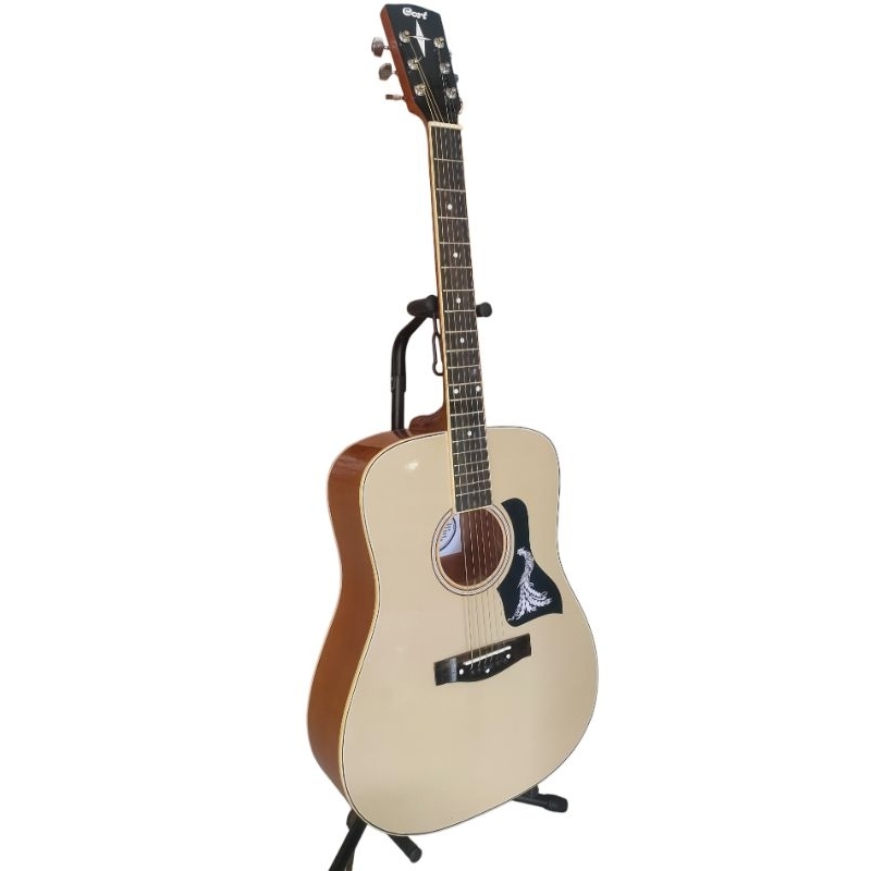 Gitar Akustik Cort jumbo